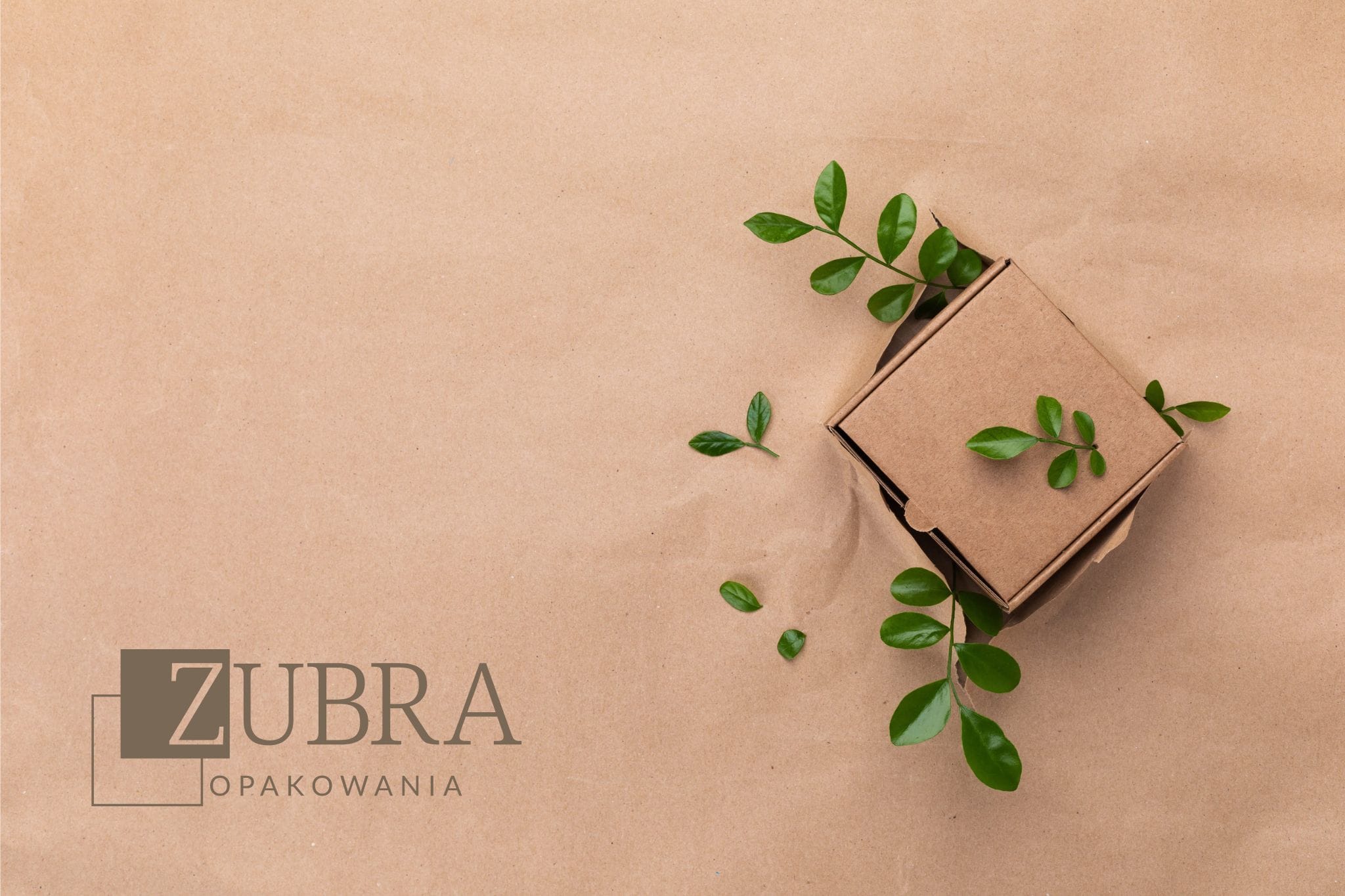 ekololgiczne_opakowania