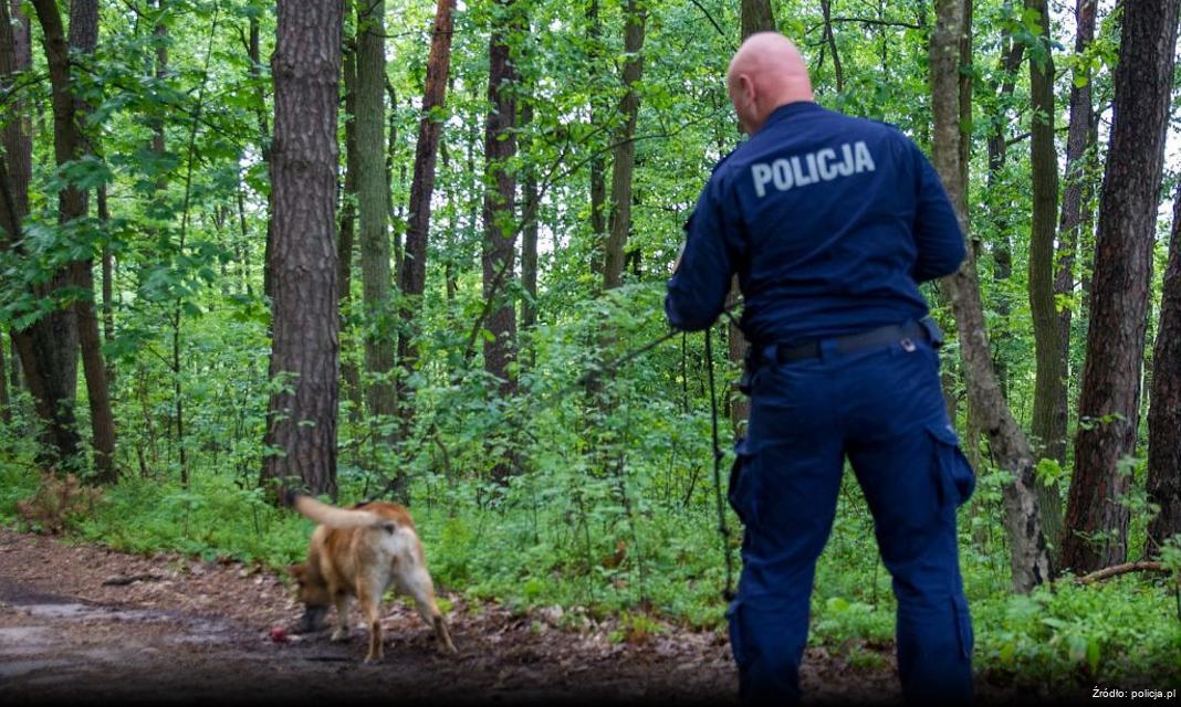 Awans na Wyższe Stopnie Służbowe w Policji Kołobrzeg