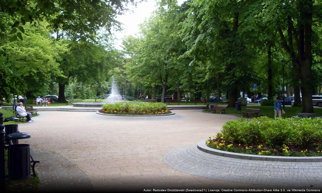 Sukcesy pływaków z Kołobrzegu na zawodach w Gryfinie i Poznaniu